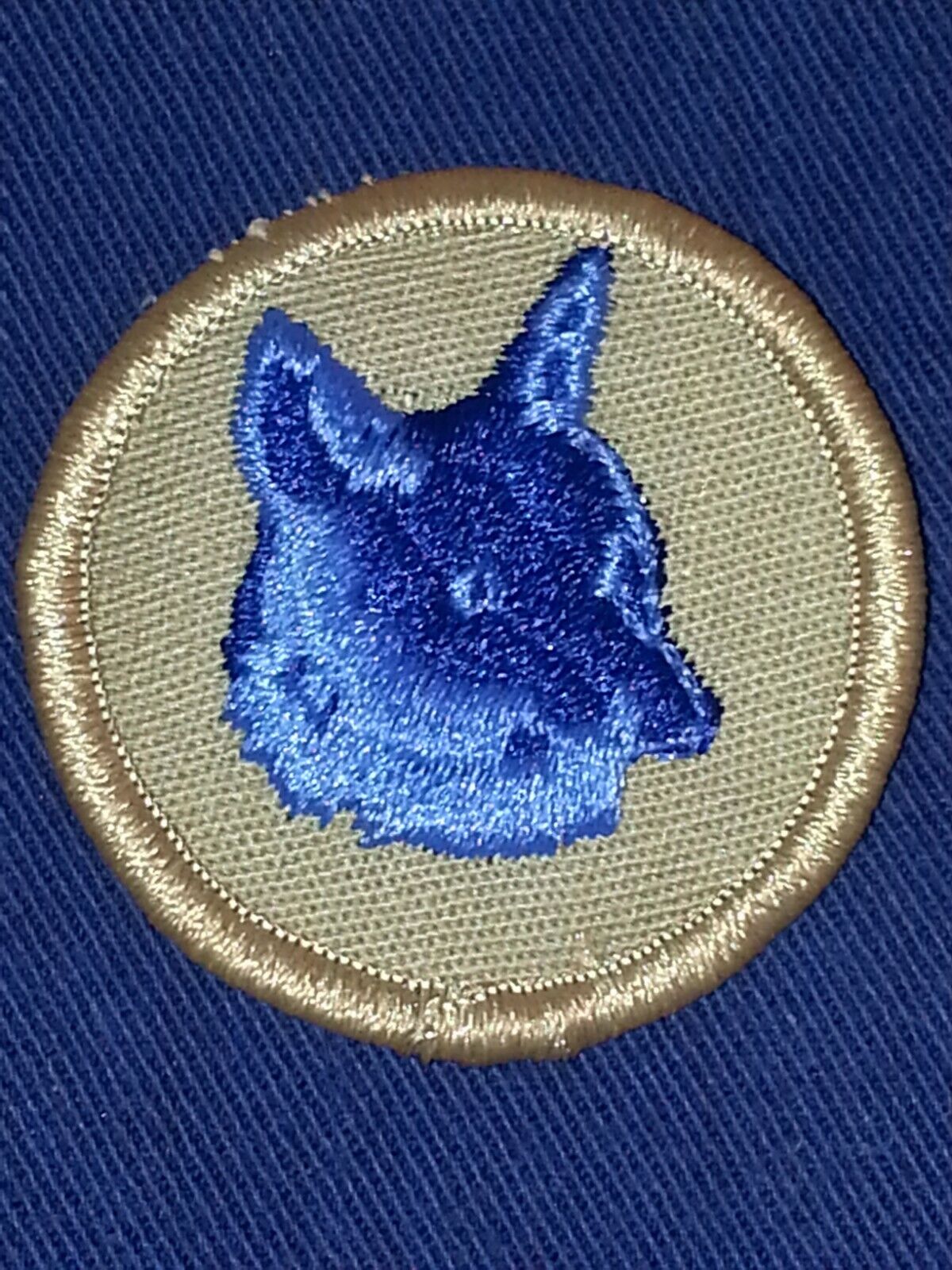 Bsa  Patrol Medallion Patch - Fox - 1989-2002  - Pre-owned   B00019