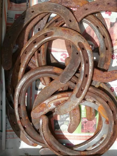 Rusty Lucky Worn Horseshoe ,mild Steel Decorative Rustic Western Decor, Montana
