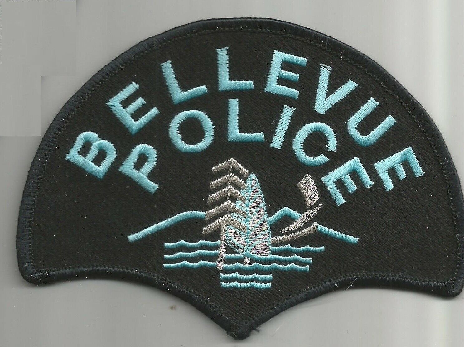 Bellevue Police, Washington