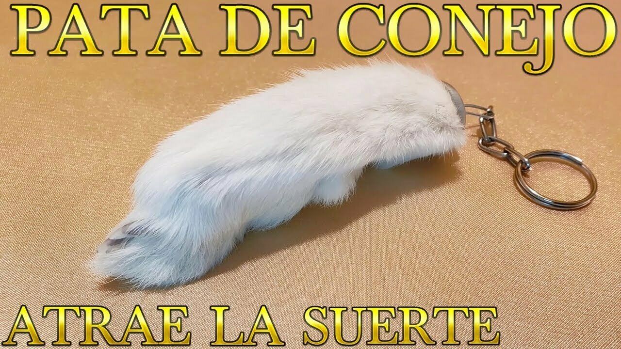 Pata De Conejo 100% Real Amuleto De La Buena Suerte Llavero Traido De Mexico